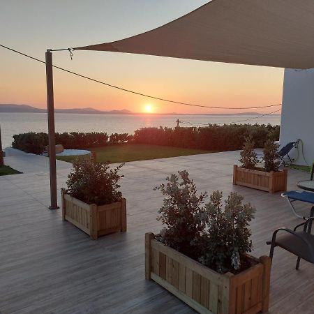 Dionysus House And Ariadne Apartment Стелида Экстерьер фото